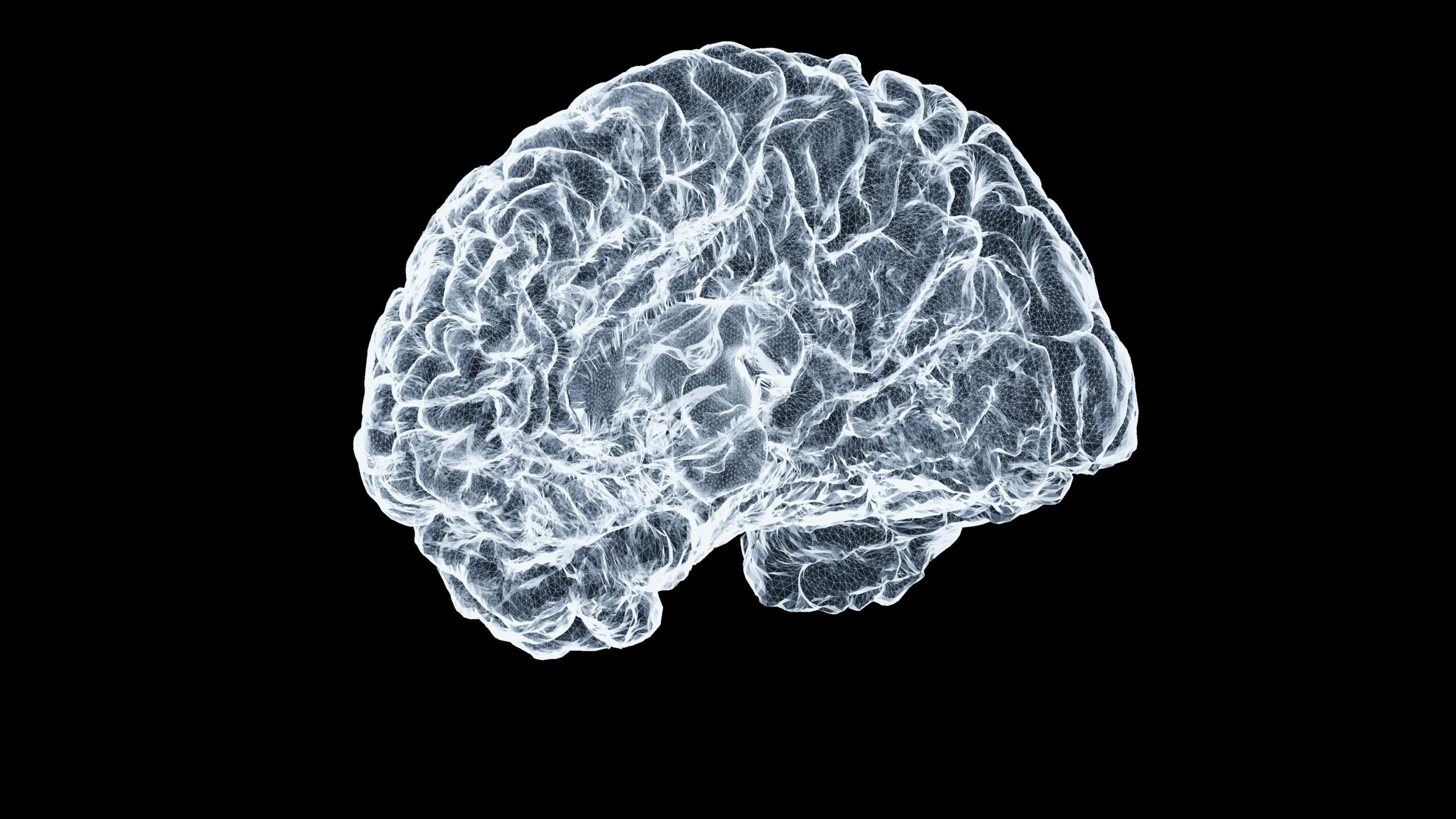 The CPU is the Brains of the Laptop